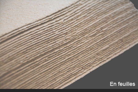 Image papier ensemencé